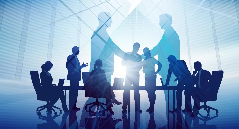 Support in the research, coordination and consulting