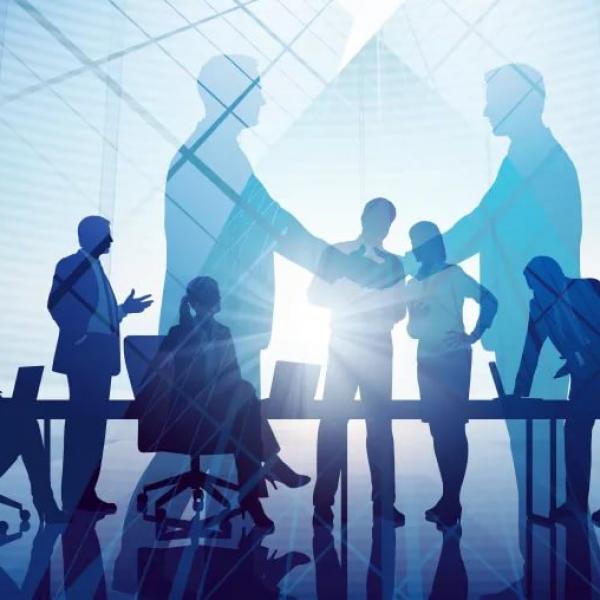 Support in the research, coordination and consulting